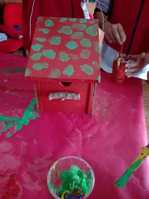 CREANDO BIODIVERSIDAD - TALLER CAJAS NIDO