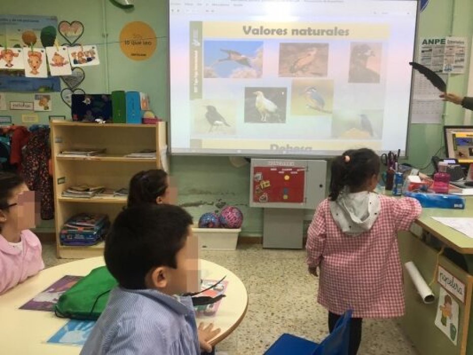 Charlas + juegos Infantil RBT Tajo-Tejo Internacional