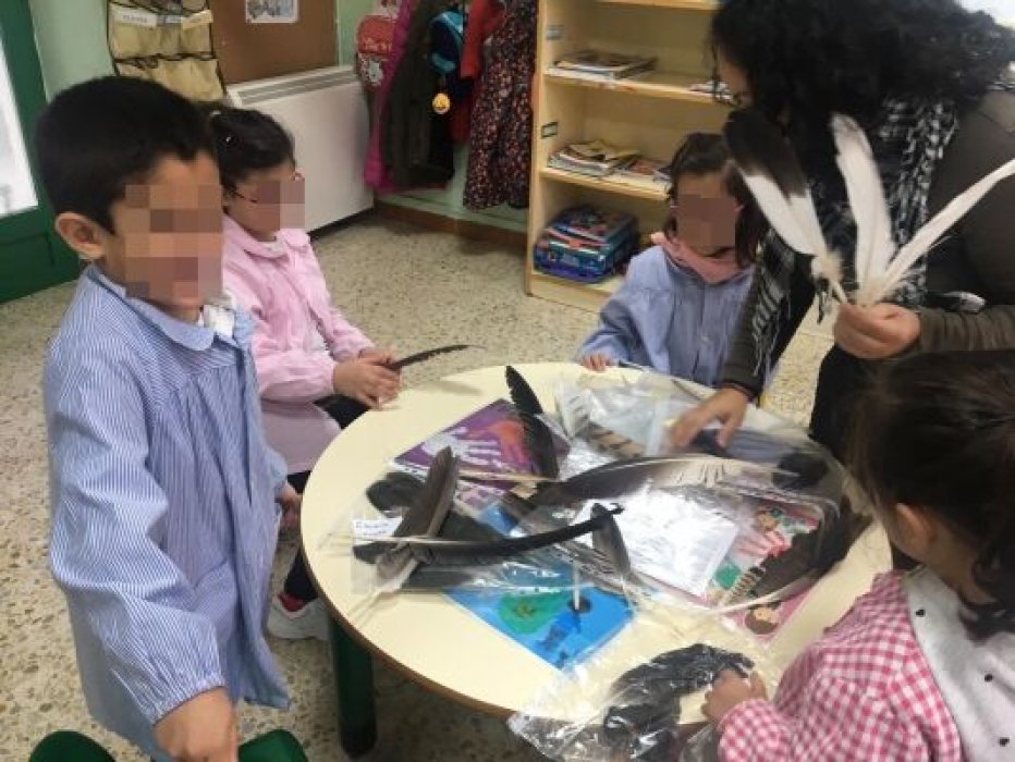 Charlas + juegos Infantil RBT Tajo-Tejo Internacional