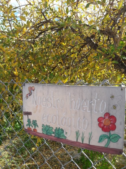 Depósito de agua reciclada para riego de huerto ecológico en centro educativo.