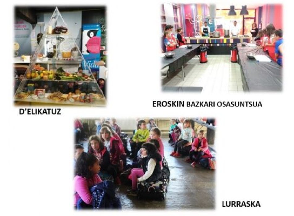 COMO INTEGRAR LA SOBERANIA ALIMENTARIA EN EL CURRÍCULUM