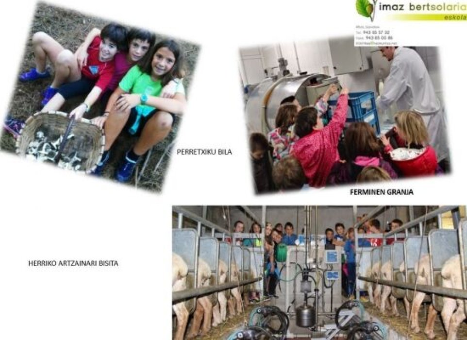 COMO INTEGRAR LA SOBERANIA ALIMENTARIA EN EL CURRÍCULUM