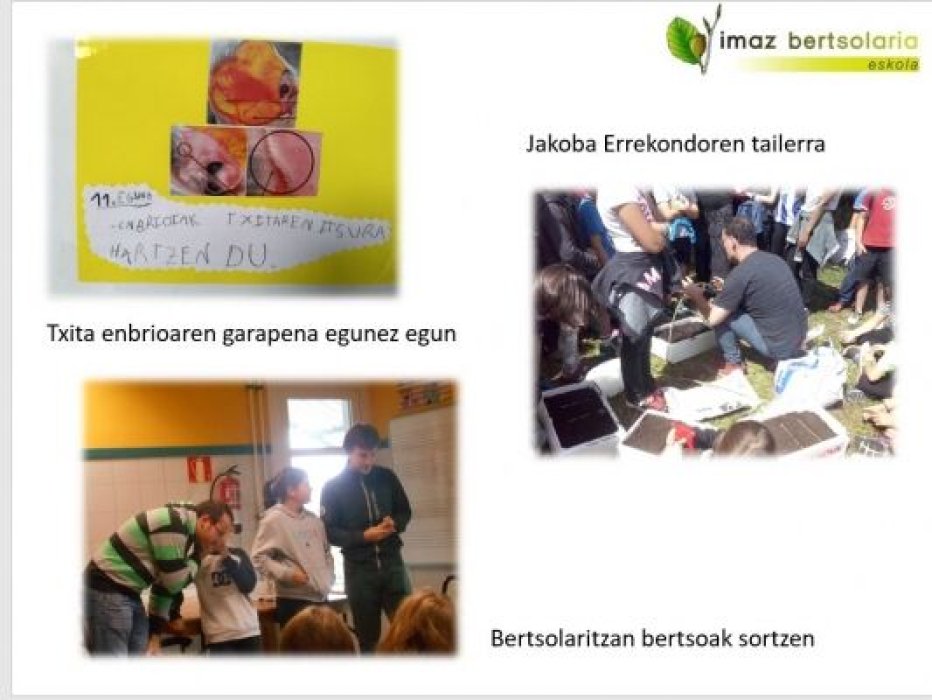 COMO INTEGRAR LA SOBERANIA ALIMENTARIA EN EL CURRÍCULUM