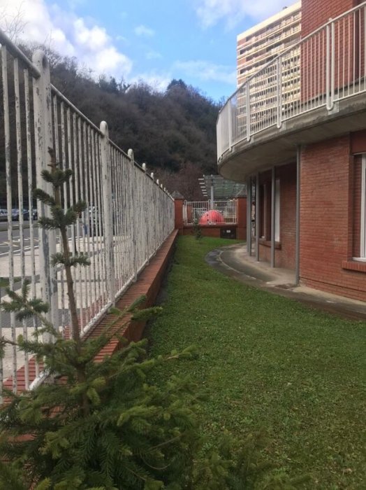 Patio Verde (Patio Berdea)