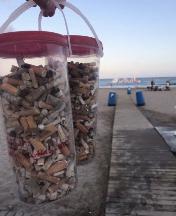 Recogidas de residuos en playas y montes de Alicante