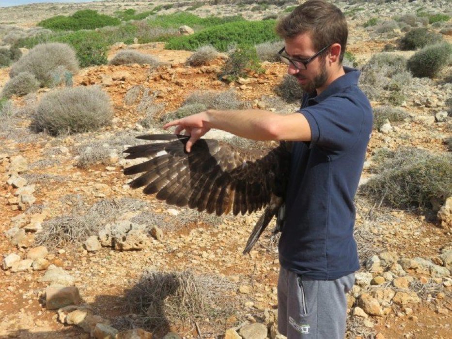 Espacio de Esperanza para la Avifauna de Málaga
