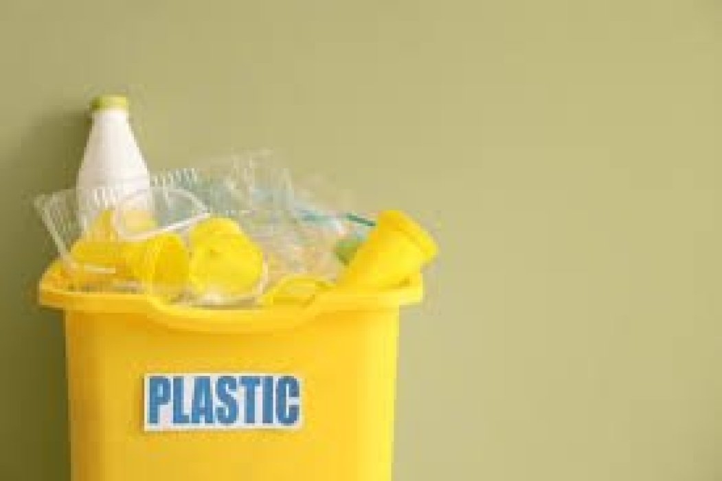 Separacion selectiva en Sección de Instituto de Educación Secundaria en Arona