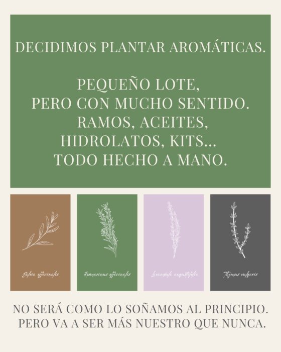 Proyecto NITT: cultivo regenerativo vegano en La Sénia