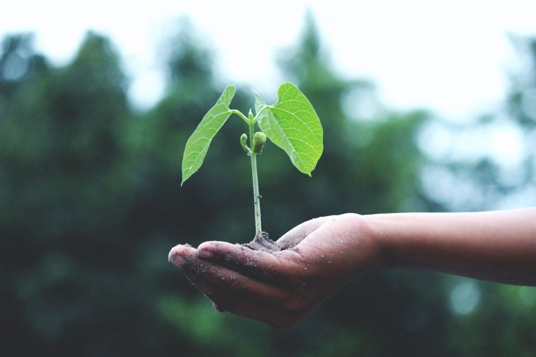 FRENEMOS EL CAMBIO CLIMÁTICO: CADA PERSONA CUENTA!