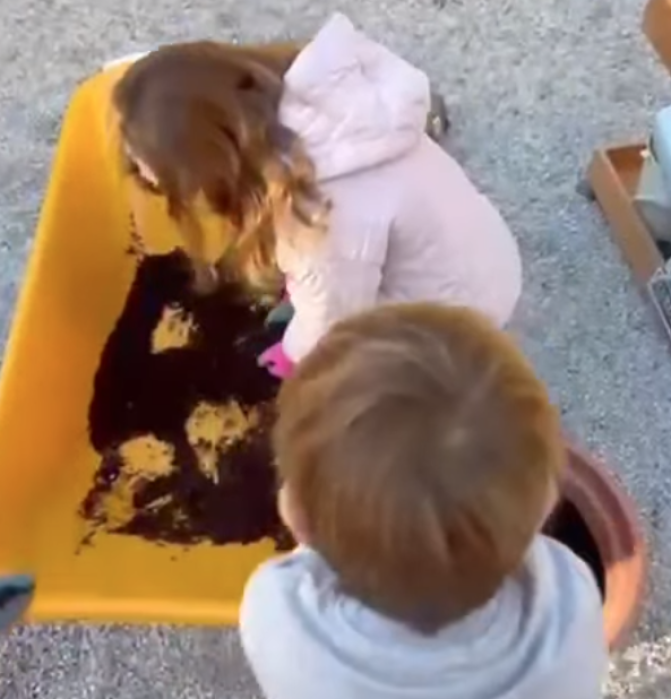 Cultivando Vida en el Huerto del Colegio Río Ebro