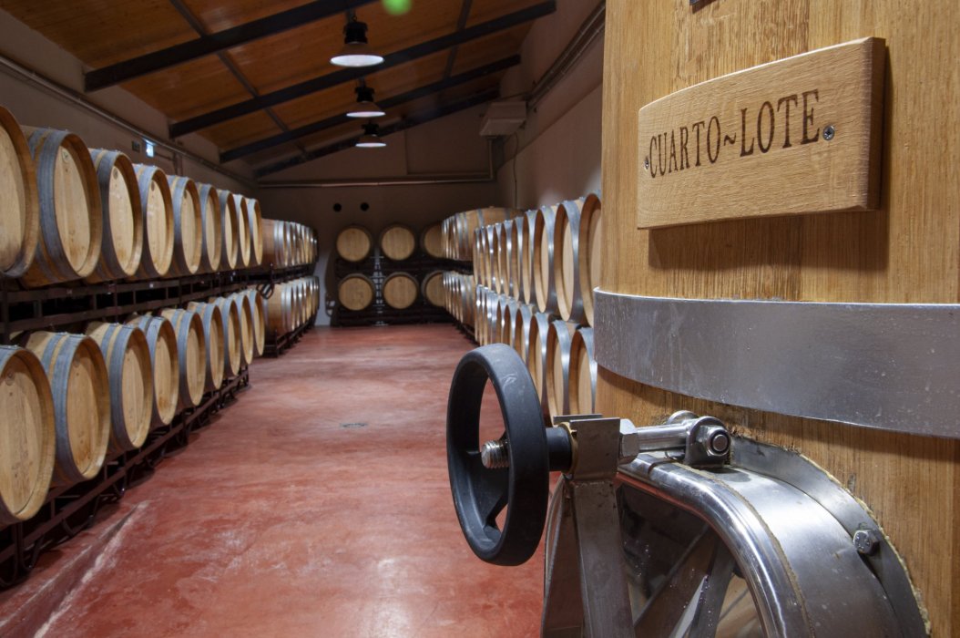 BODEGA SOSTENIBLE