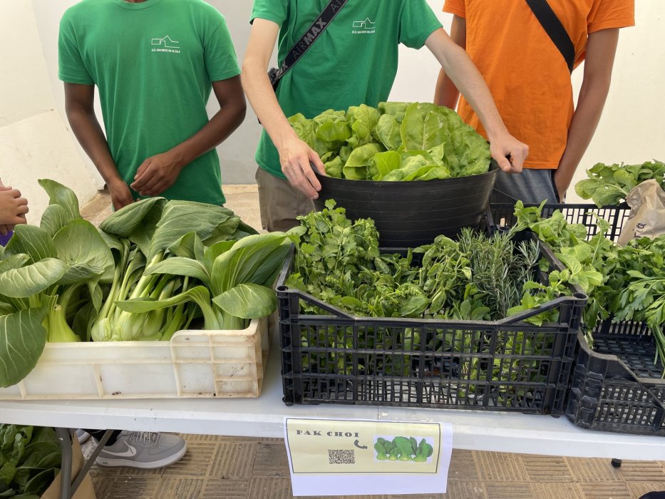Yo Composto - Huerto Escolar  - IES San Diego de Alcalá (Fuerteventura)