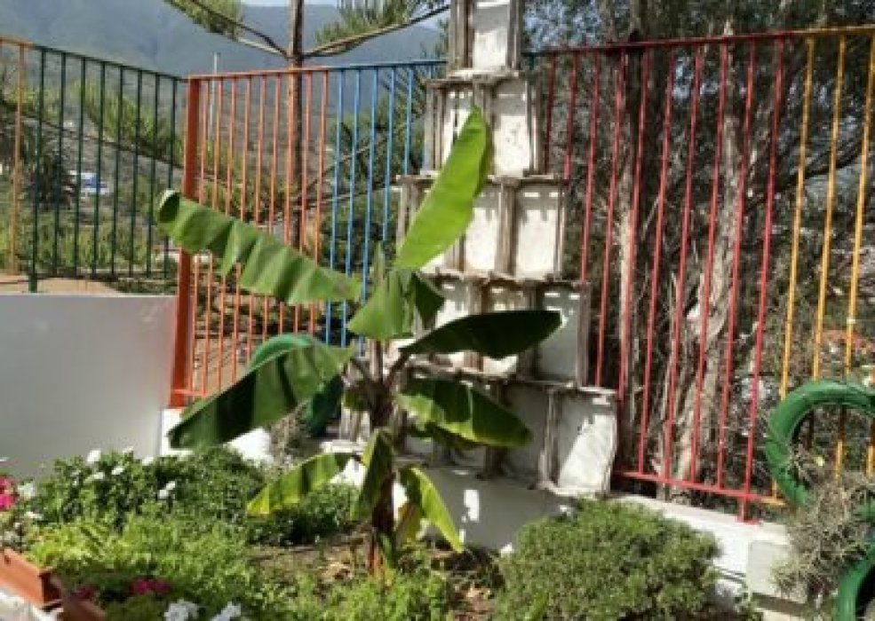 Huerto ecologico en el CEIP Miranda