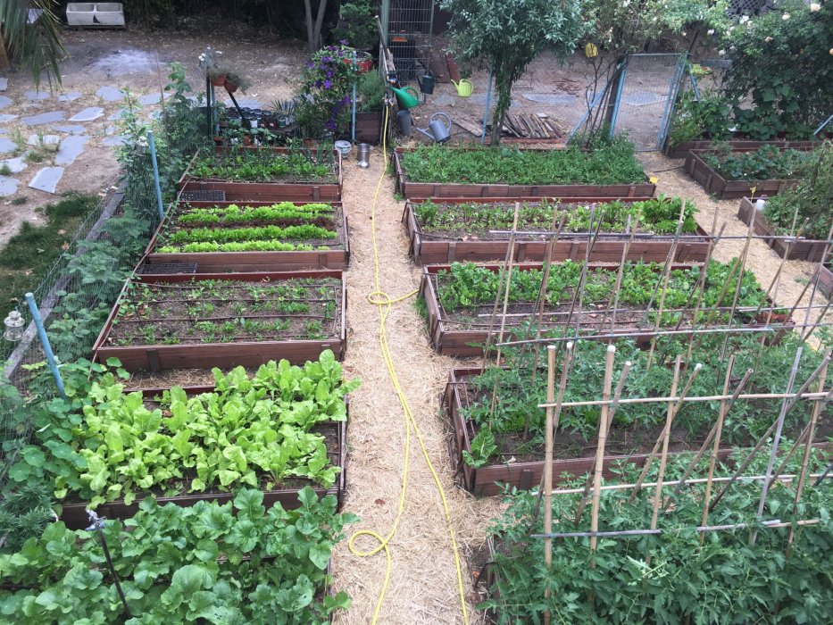 Huerto Urbano en Aravaca y Mercado de Productos Ecológicos