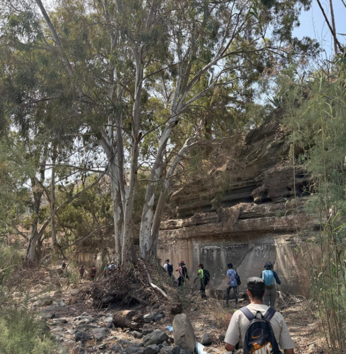 Rutas Vivas: Flora y Paisaje con el Colectivo Turcón