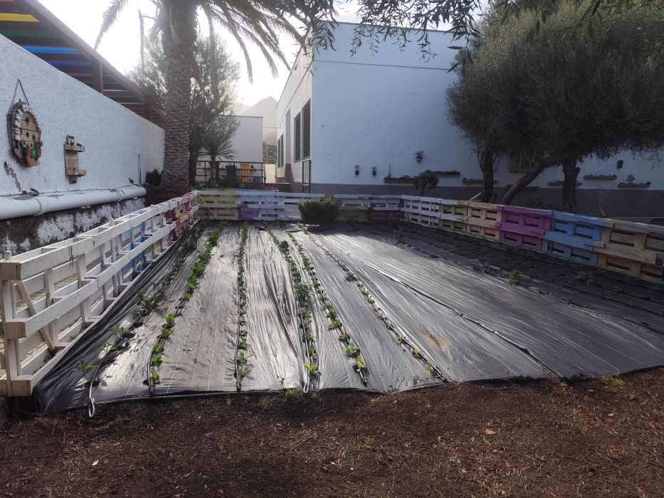 Huerto Ecologico CEIP Jose Sánchez y Sánchez