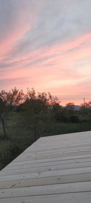 Proyecto NITT: cultivo regenerativo vegano en La Sénia