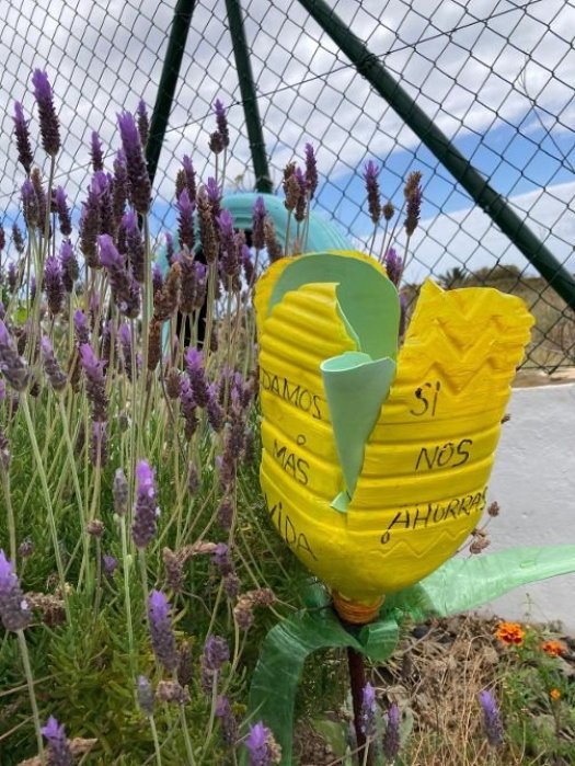 Huerto ecologico en el CEIP Miranda