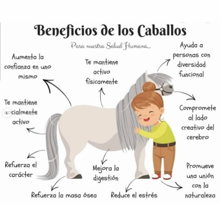 Taller Equina Sostenible