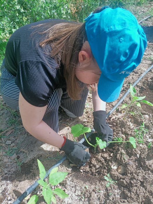 UN JARDÍN PARA TODO EL PUEBLO