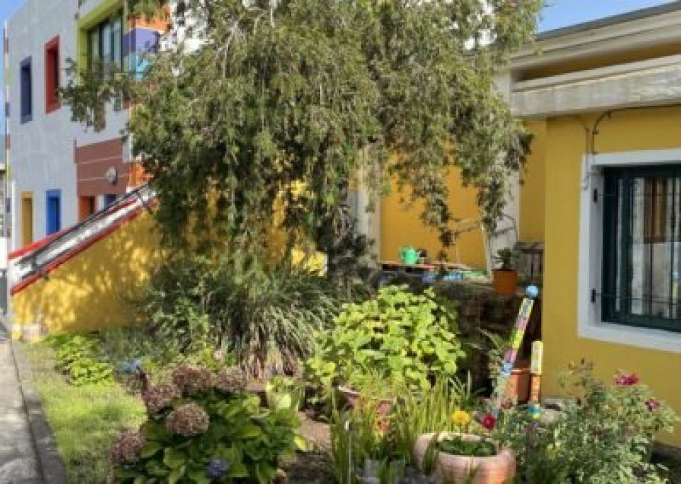 Huerto ecologico en el CEIP Miranda