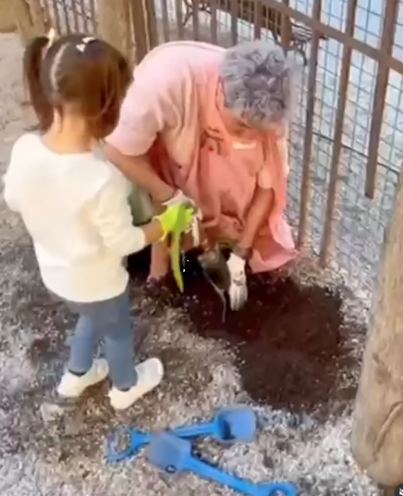 Cultivando Vida en el Huerto del Colegio Río Ebro