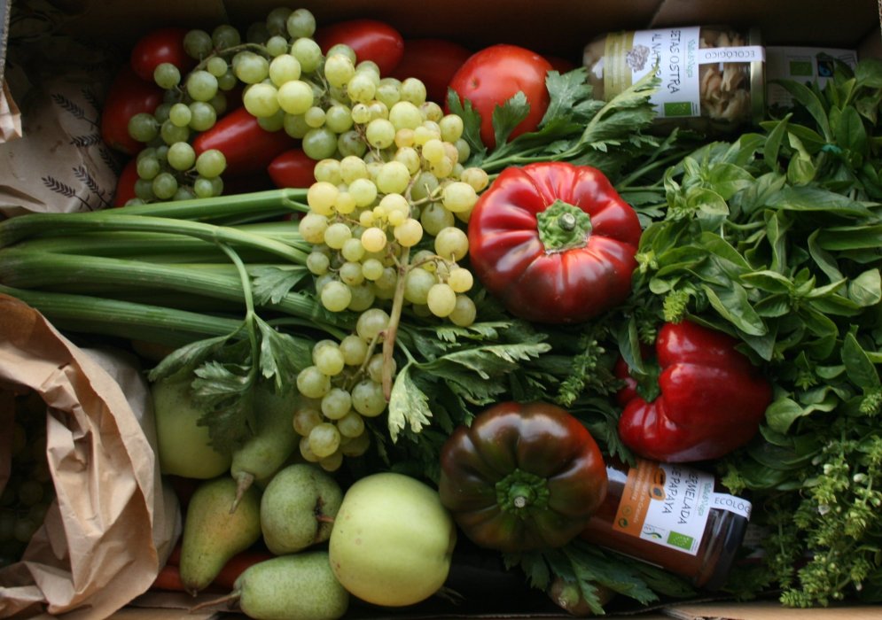 Valle y Vega Cooperativa Agroecológica de Granada, Fomentamos un consumo sostenible.