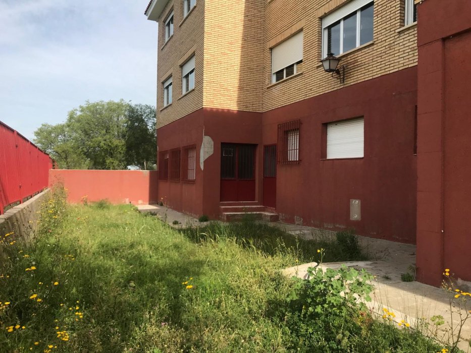 Huerto Escolar y Comunitario 