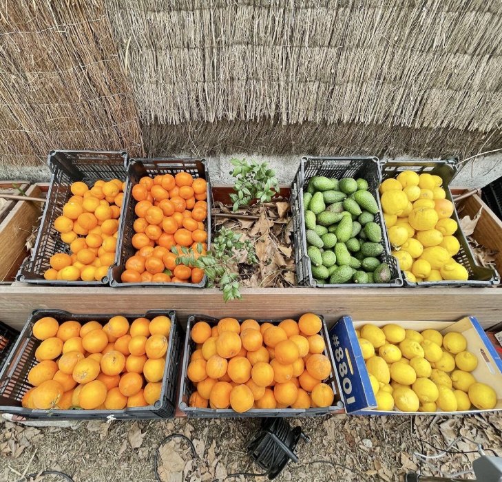 Huerto Urbano en Aravaca y Mercado de Productos Ecológicos