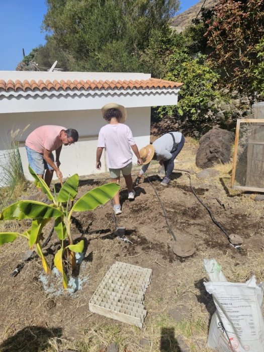 CEIP El Risco de Agaete El huerto escolar: sembrando aprendizajes y valores
