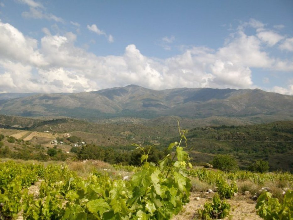 Bodega 7Navas