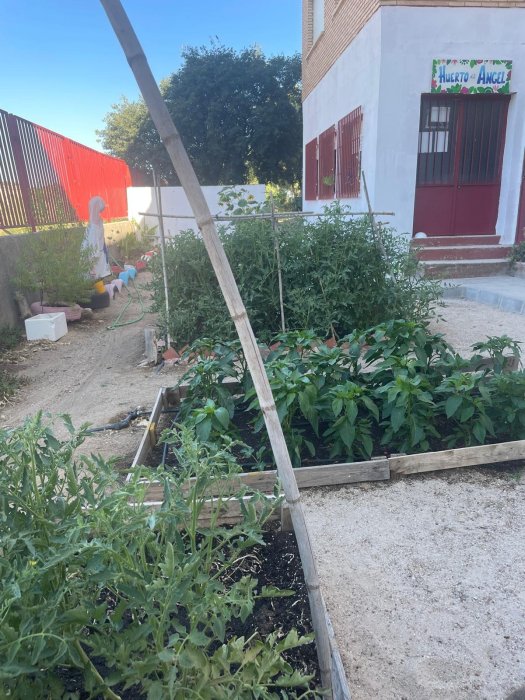 Huerto Escolar y Comunitario 