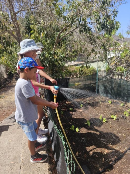 CEIP El Risco de Agaete El huerto escolar: sembrando aprendizajes y valores
