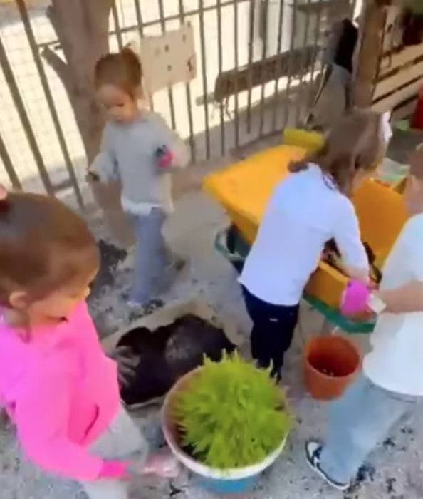 Cultivando Vida en el Huerto del Colegio Río Ebro