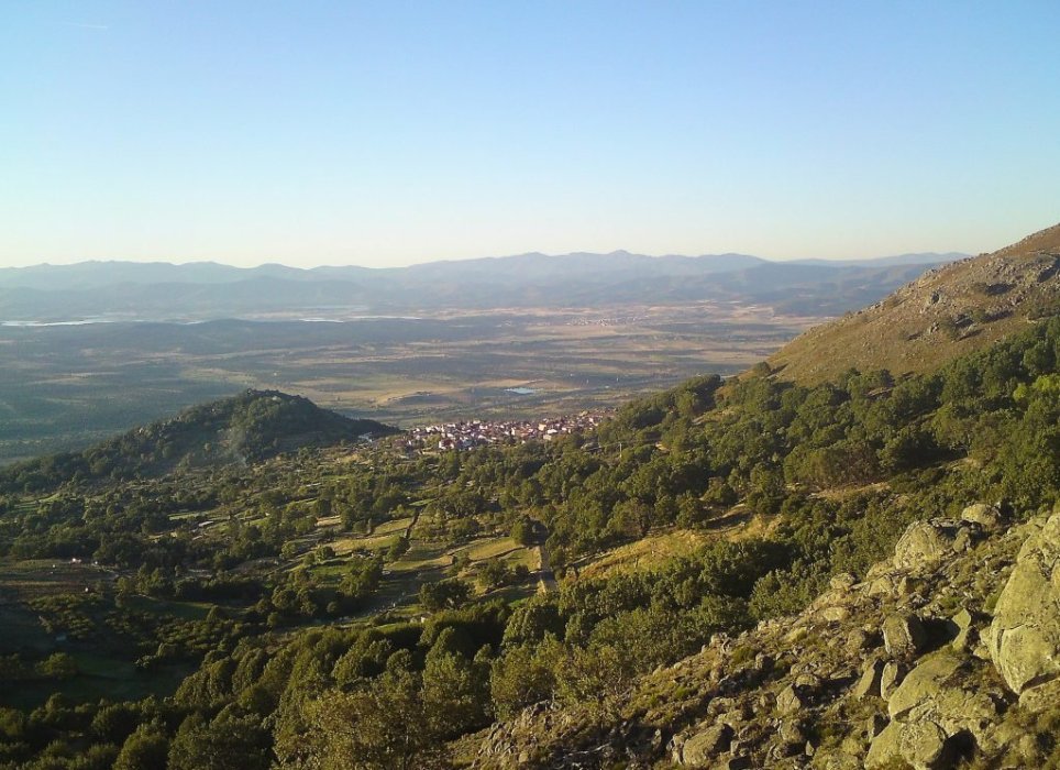 Declaración de Bosque Singular - Carvajal de Gredos
