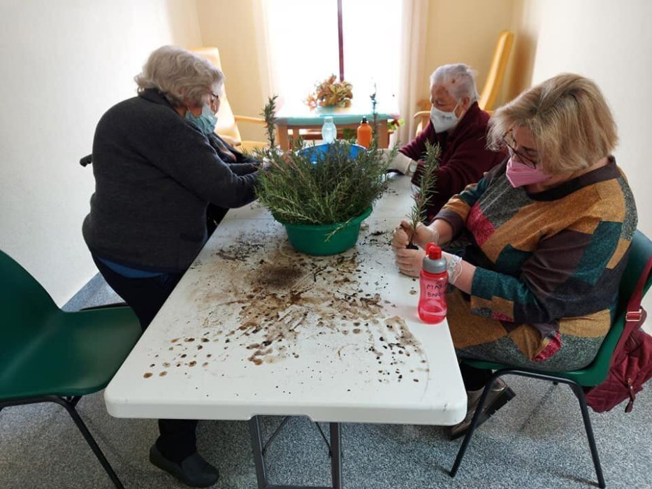 Huertos solidarios. La Granja de Cooprado