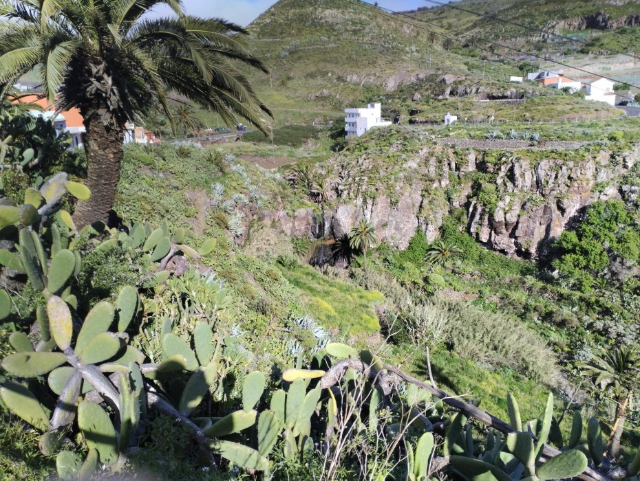 REGENERACION DEL BARRANCO DE LA AZUCENA , ARURE