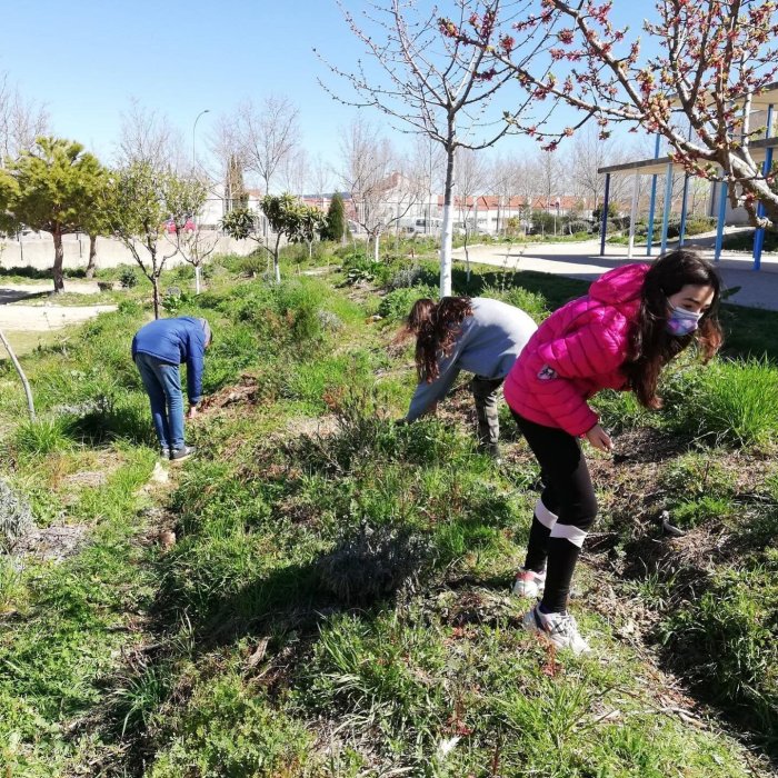 Sembrando el cambio: de la huerta a la magia del bosque