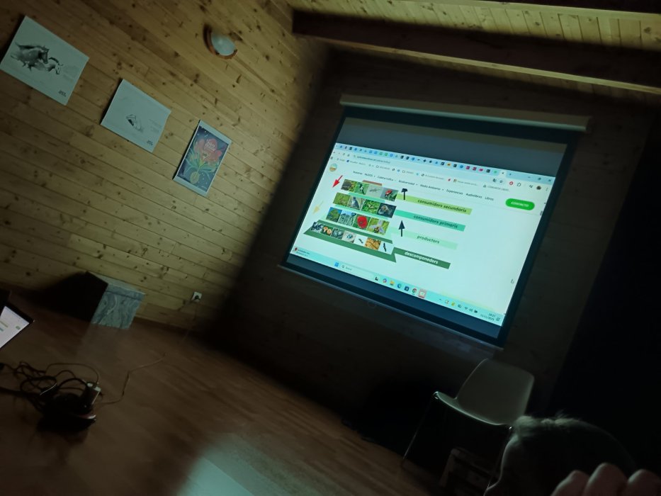 COMUNITAT OBERTA/MIGJORN