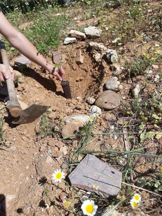 Forestación de antiguas escombreras, hagamos un pulmón a la ciudad.