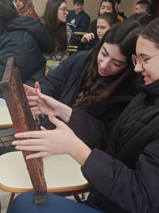 Guardianes de la Colmena