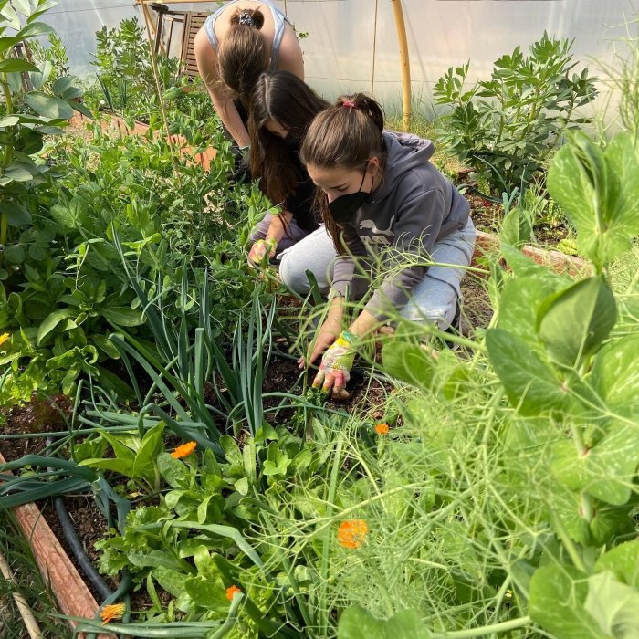 Sembrando el cambio: de la huerta a la magia del bosque