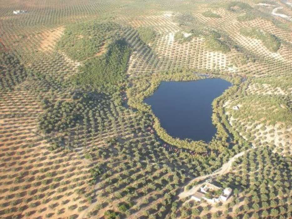 Humedales contra el cambio climático.