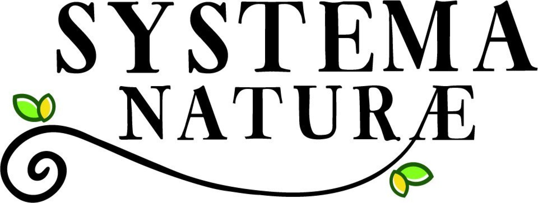 Systema Naturae - Matute Naturae