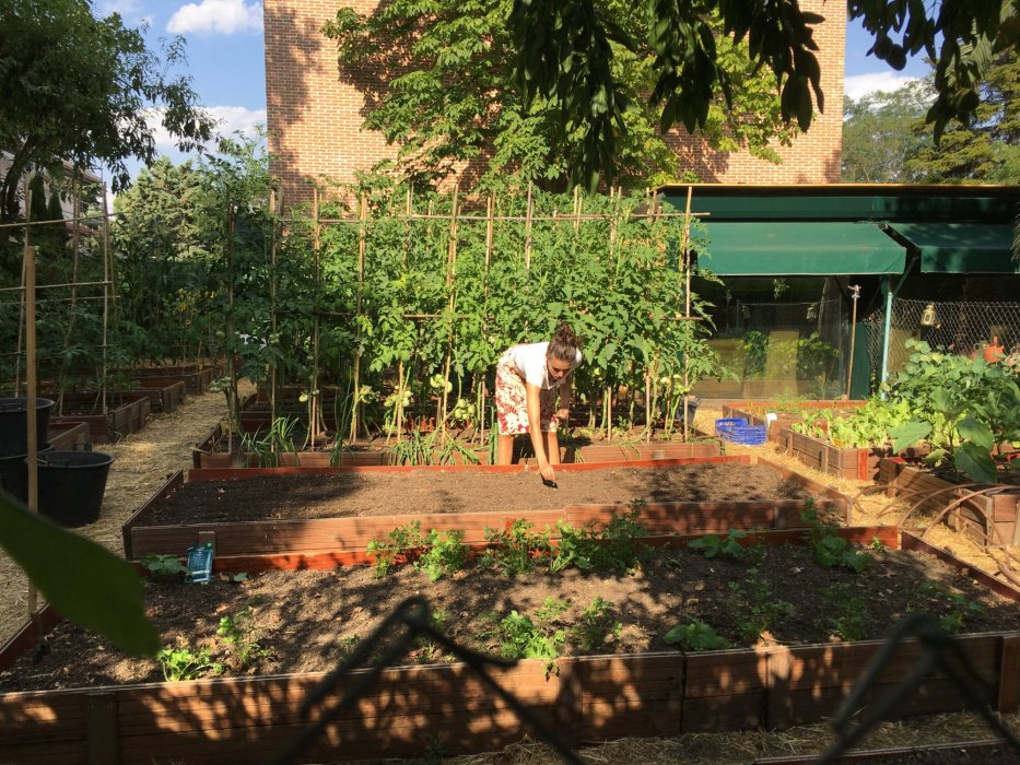 Huerto Urbano en Aravaca y Mercado de Productos Ecológicos