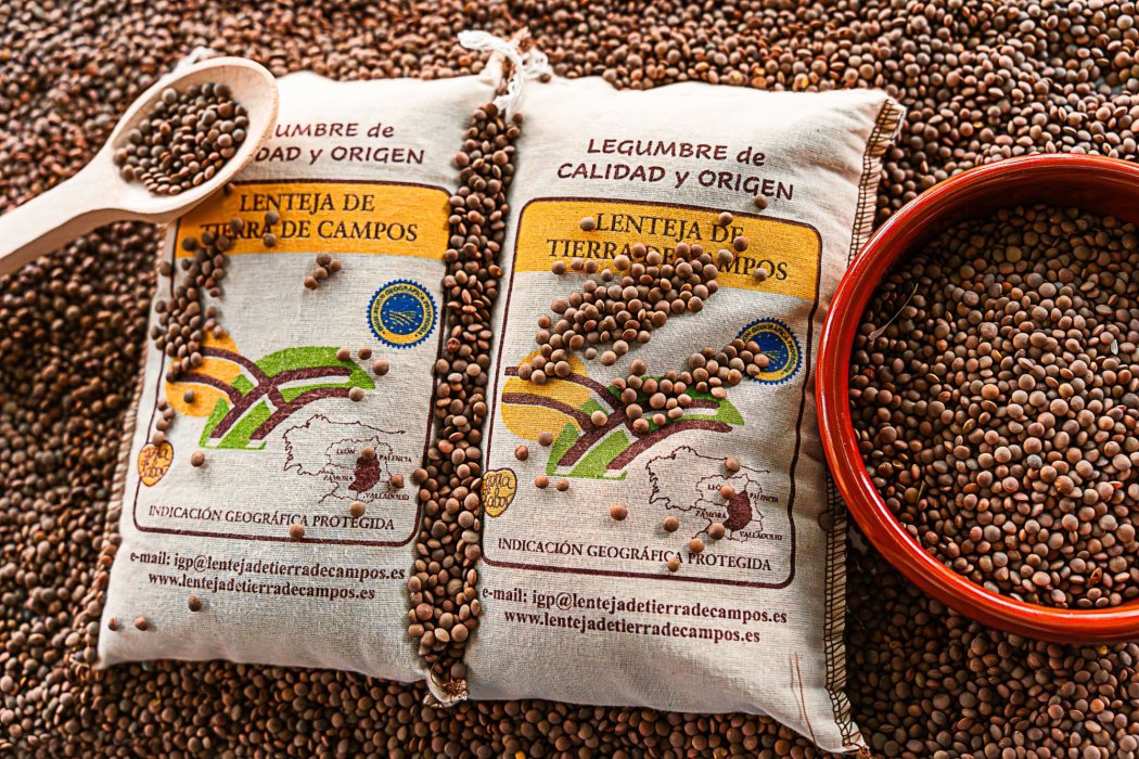 Lentejas de Tierra de Campos: sabor, tierra y legado rural