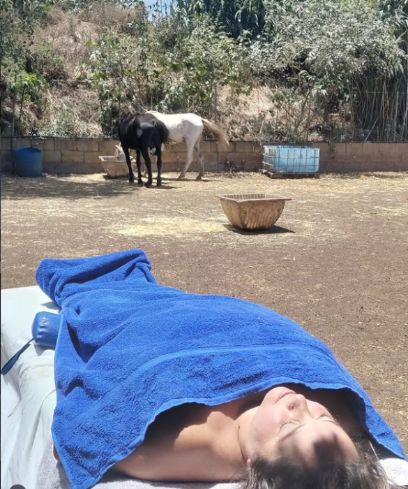 Taller Equina Sostenible