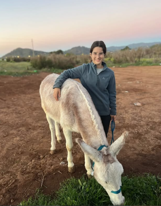 Taller Equina Sostenible