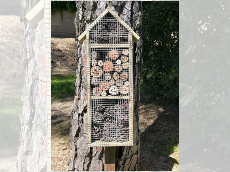 La Mironera: Actividades de naturaleza por la biodiversidad