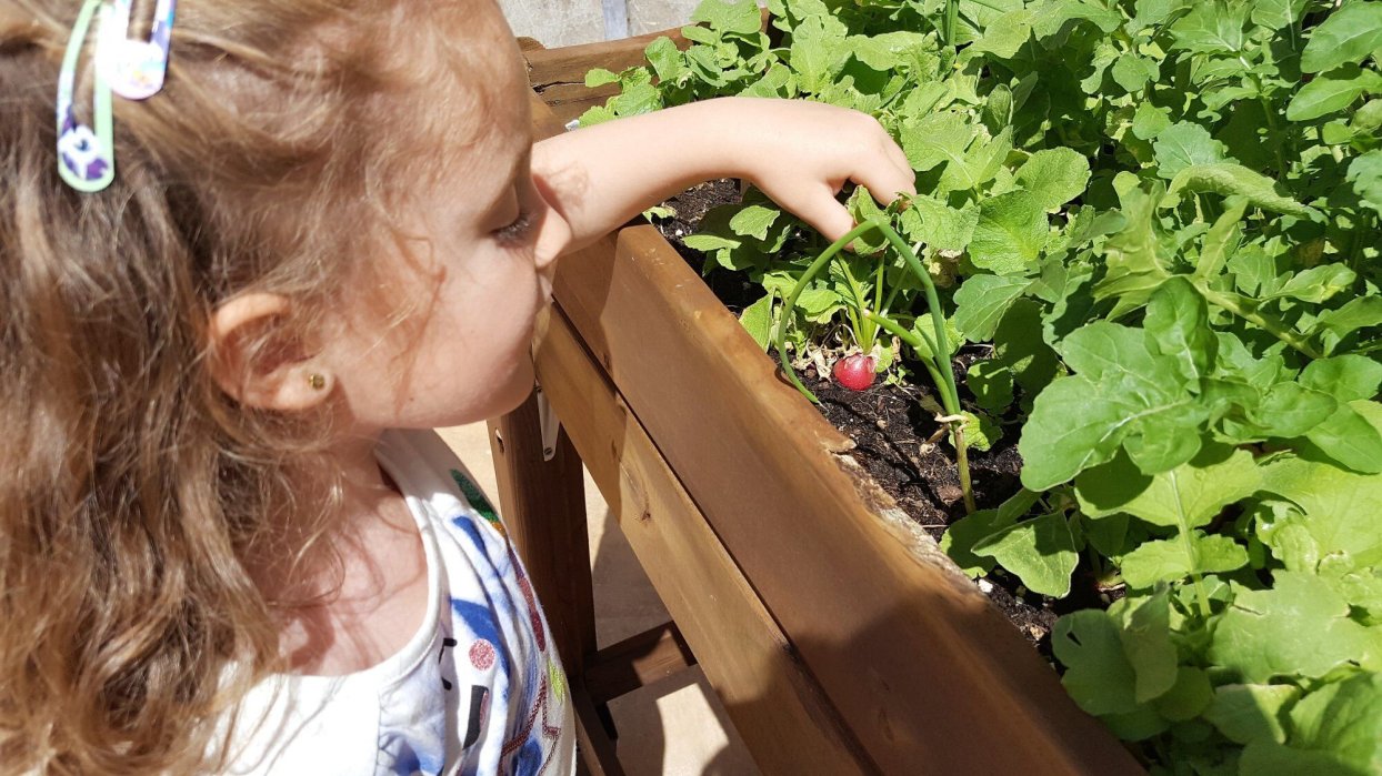 Tierras Vivas ¡Alimentos que emocionan!
